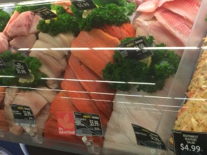 Fish Counter
